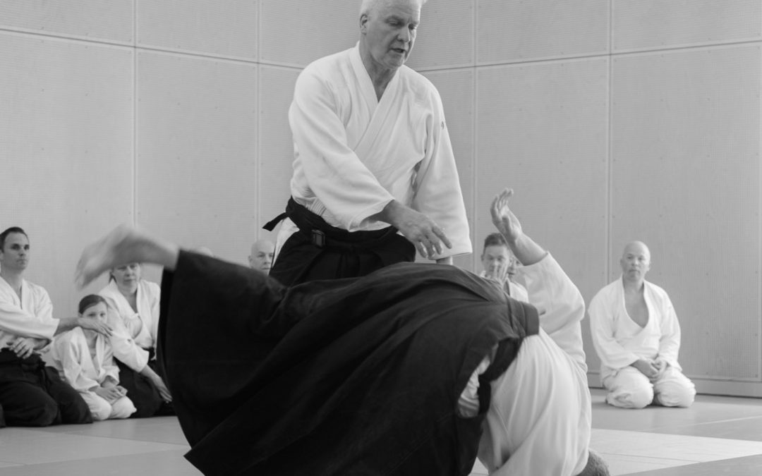 Aikido stage met Chris de Jongh - 6e dan aikikai aikido - om het 30 jarig bestaan van Aikidoschool Amstelveen te vieren.