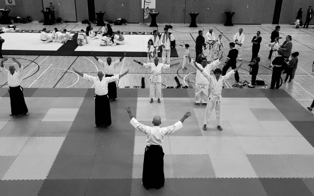 Aikido school Amstelveen present op Verdedigingsdag 2025