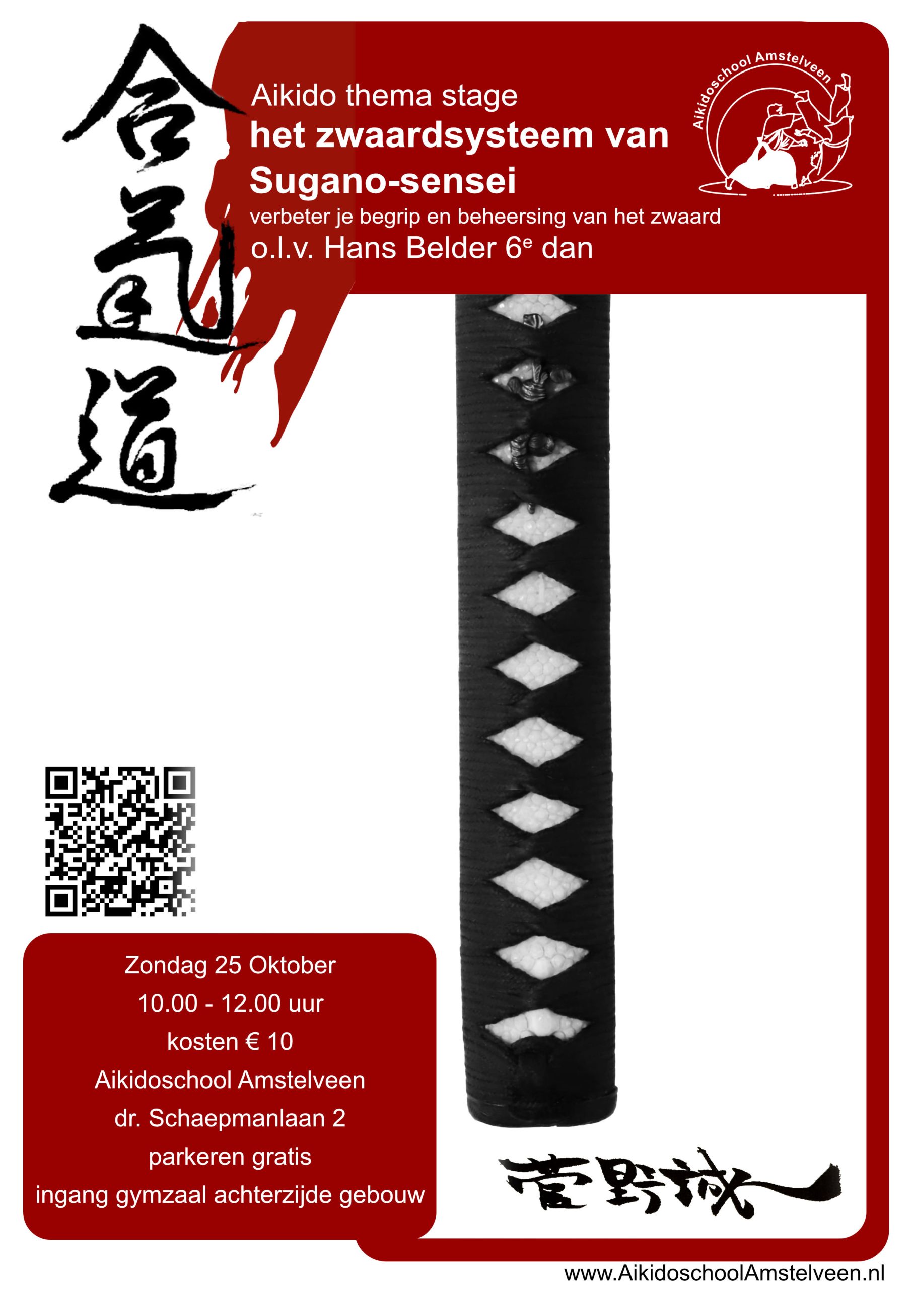Poster stage Zwaardsysteem Sugano - 25 okt 2026